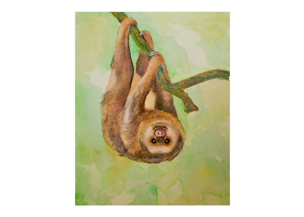 Sloth Illustration, Two-toed sloth, 8x10 print from original watercolor painting, wildlife art, brown, green, earth tones