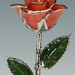 Bright Red Platinum Rose by Living Gold - Real Rose Dipped in Platinum