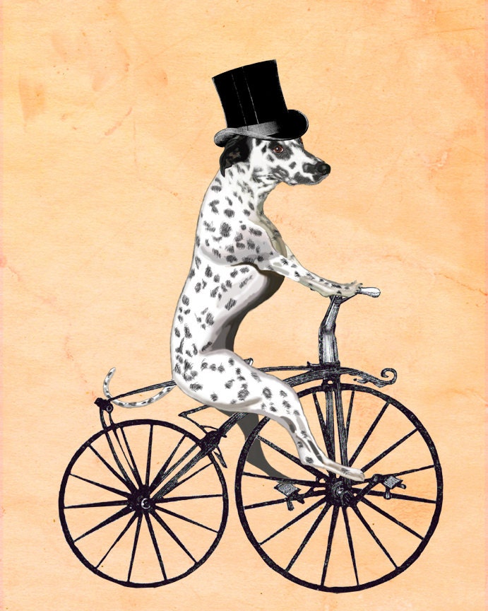 Dalmatian 14x11 On Bicycle Art Print Illustration Poster Acrylic Painting Giclee Animal Painting Wall Decor Wall hanging Wall Art Dog print