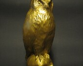 Handmade owl on skull sculptures