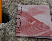 Red Snapper Blank Notebook