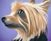 Custom Pet Portrait  6x6 canvas