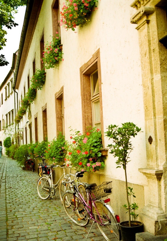 Bicycle Photography germany shabby chic flowers idyllic geraniums pink green spring summertime bike 8x11 fine art