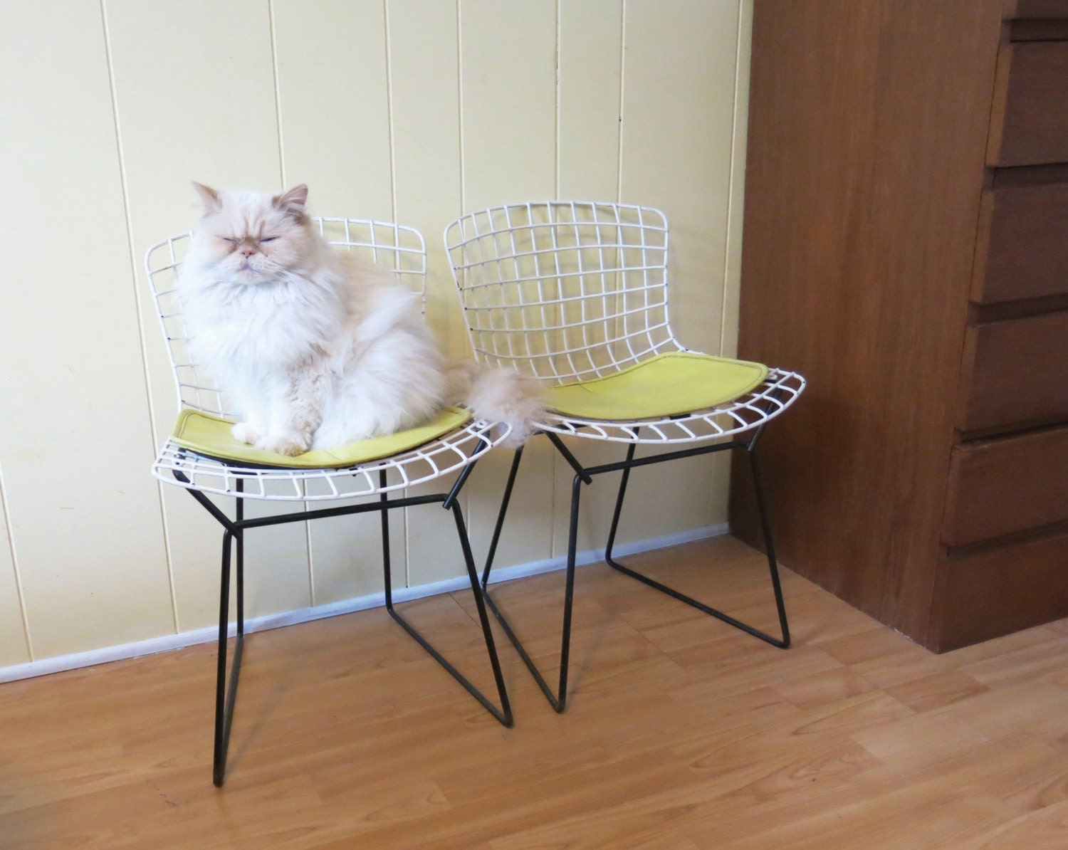 pair of mini bertoia chairs