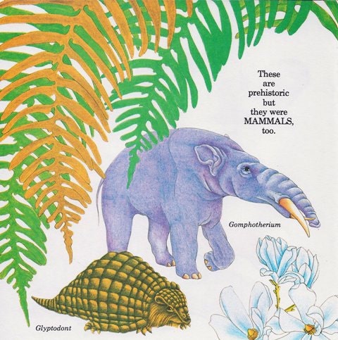 Vintage Print - Animals, Baby Decor, Nursery, Exotic Animals, Seal, Walrus