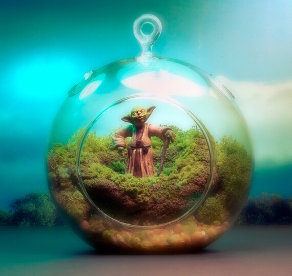 Yoda Terrarium - Hanging Moss Zen Garden - Star Wars / Empire Strikes Back