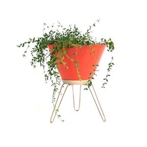 Planters