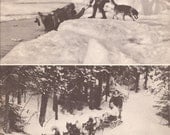 1940's Sled Dogs for Artic Travel, Alaska - Old Picture/Photo