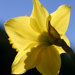 NaturesTouchCrafts avatar