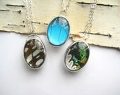 Real Blue Morpho Butterfly Gem - woodland wing necklace