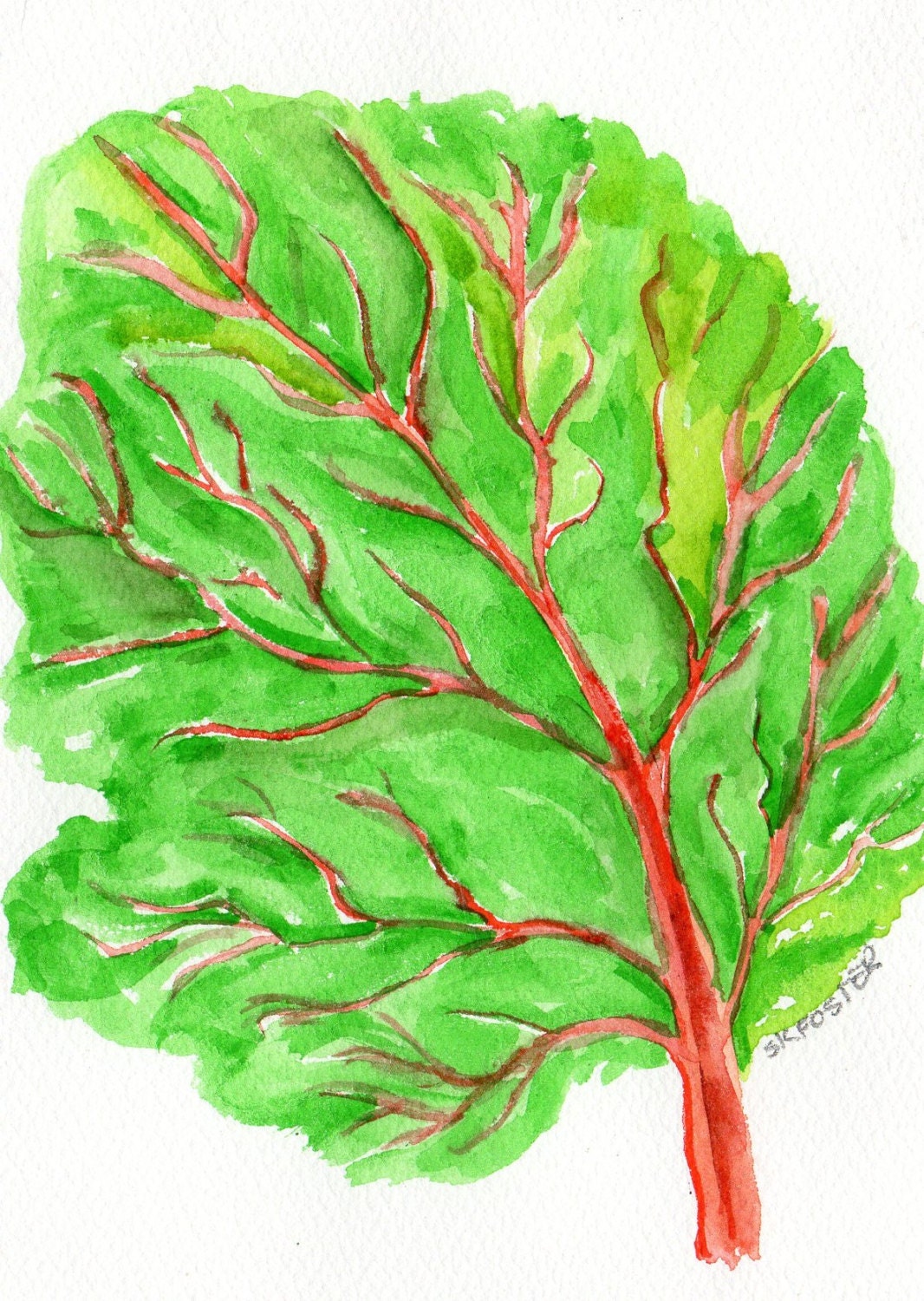 Swiss Chard Painting watercolor, vegetable series,