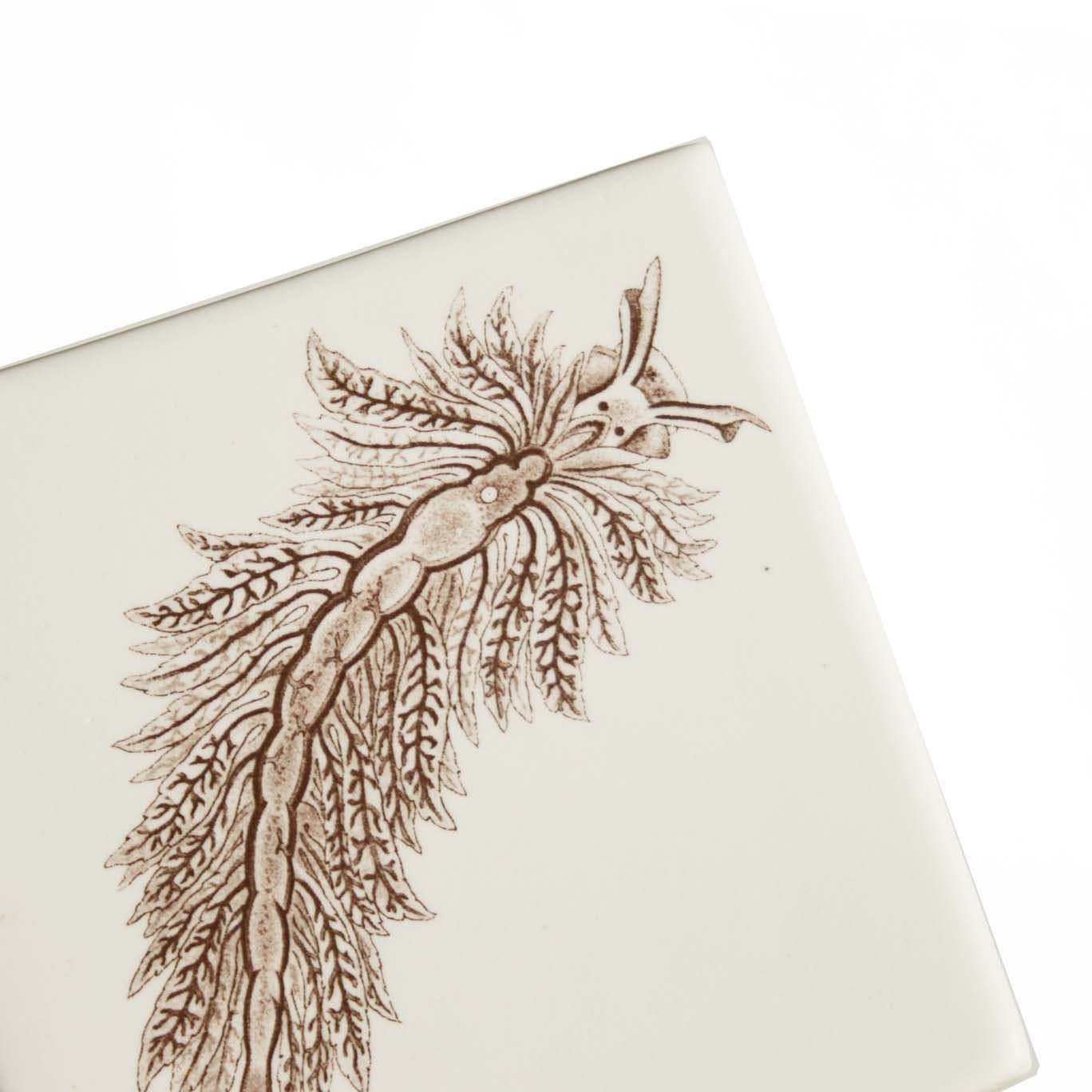Ceramic tile trivet - white matte with iron decal image of a seaslug - for the marine biologist in your life