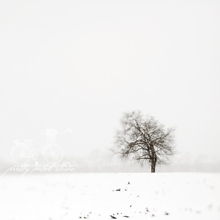 Fine Art Photograph, Bare Winter Tree in Snow, Minimalism, Lonely, Black and White Landscape, Maryland Scenery, Desolate, Square 8x8 Print