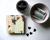Mini Photo Albums - Wedding Favor, Birthday Gift, Sweet Surprise