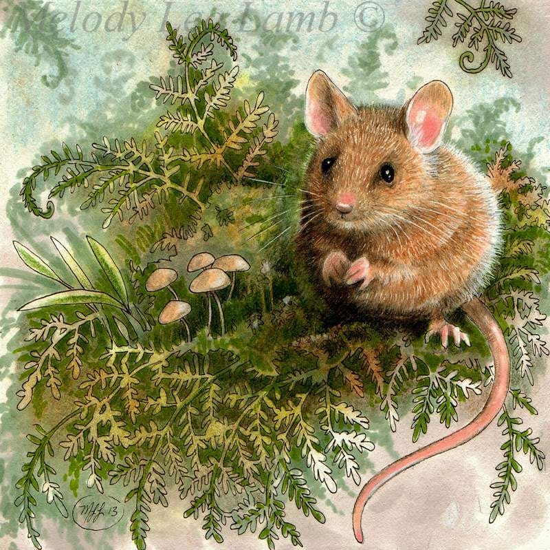 Woodland Mouse Art 5" x 5" Original By Melody Lea Lamb