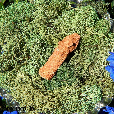 RARE Sedona Fulgurite - Lightning struck Sedona Arizona sand, Manifesting, Opening Chakras to Divine Energy, Intuition, Meditation