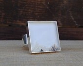 Instagram photo ring in resin and silver "Birds in Flight" wearable art