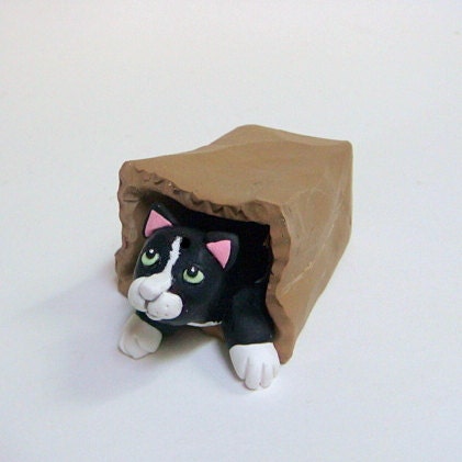 Let the Cat out of the Bag