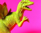 Green Dinosaur Planter Great for Office Desk or Bedroom Ready to Plant Great for Small Succulents or Cacti