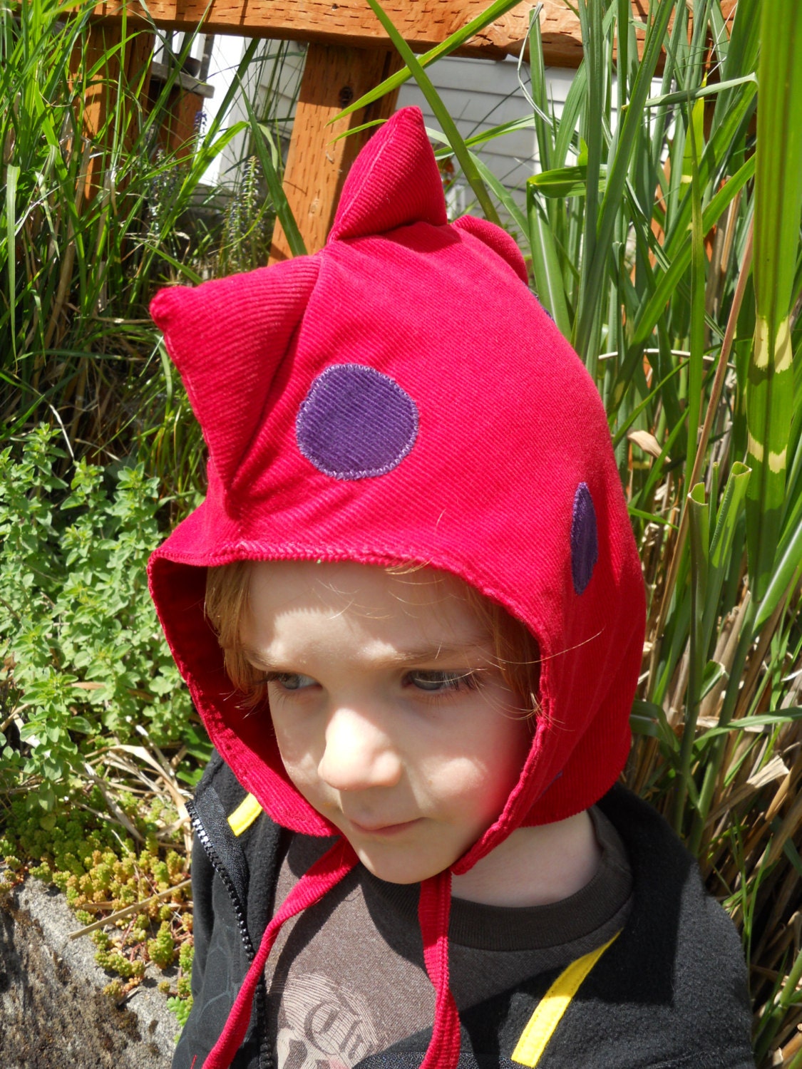 Red Dragon/Dinosaur Hood