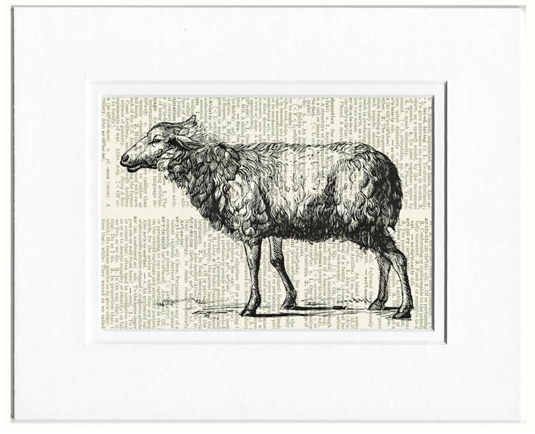 Sheep - vintage sheep artwork - printed on old page from dictionary