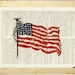 Flag printed on page from vintage dictionary...