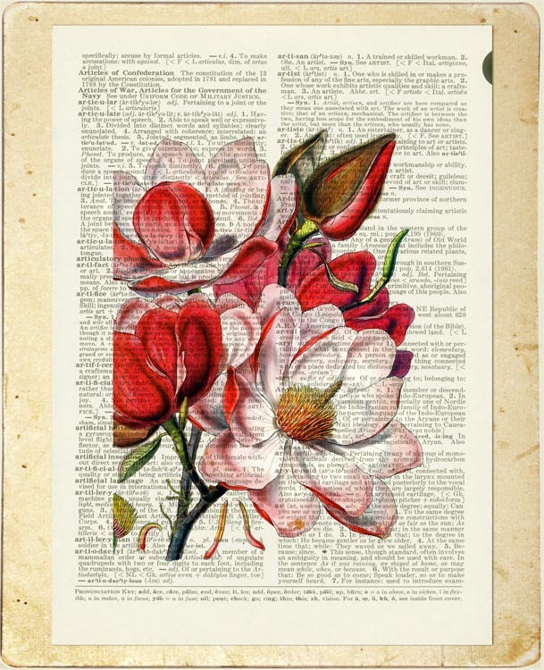 vintage magnolia artwork printed on page from old dictionary