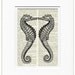 Vintage sea horses printed on page from old dictionary
