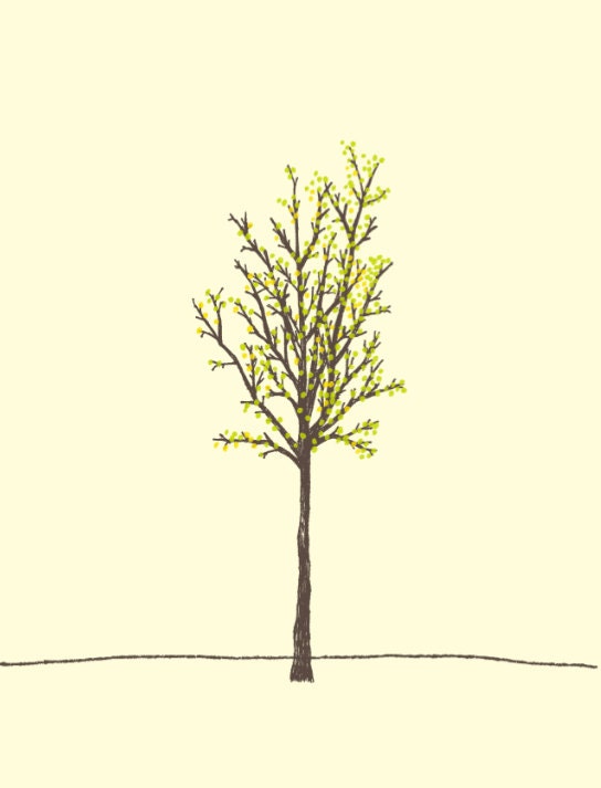 summer tree...CARD