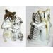 Antique Porcelain Bank Geo Borgfeldt Corp Bulldog Kitty Hugging
