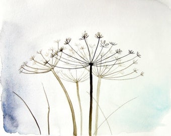 Wild Fennel - Watercolor Fine Art Giclee Print - watercolor painting - Nature all art - pale blue white aqua botanical - 8x10 print