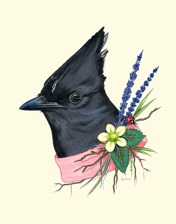 Steller's Jay art print 5x7
