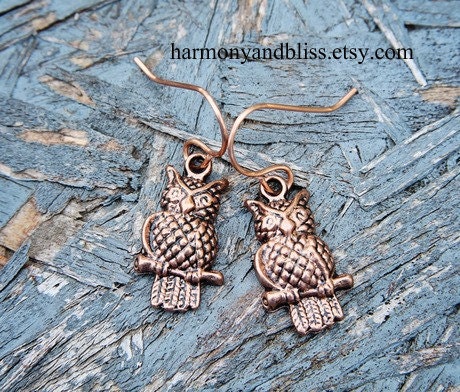 Owl charm dangle earrings