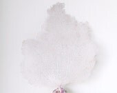 Sea Fan White Coral Nautical Coastal Decor