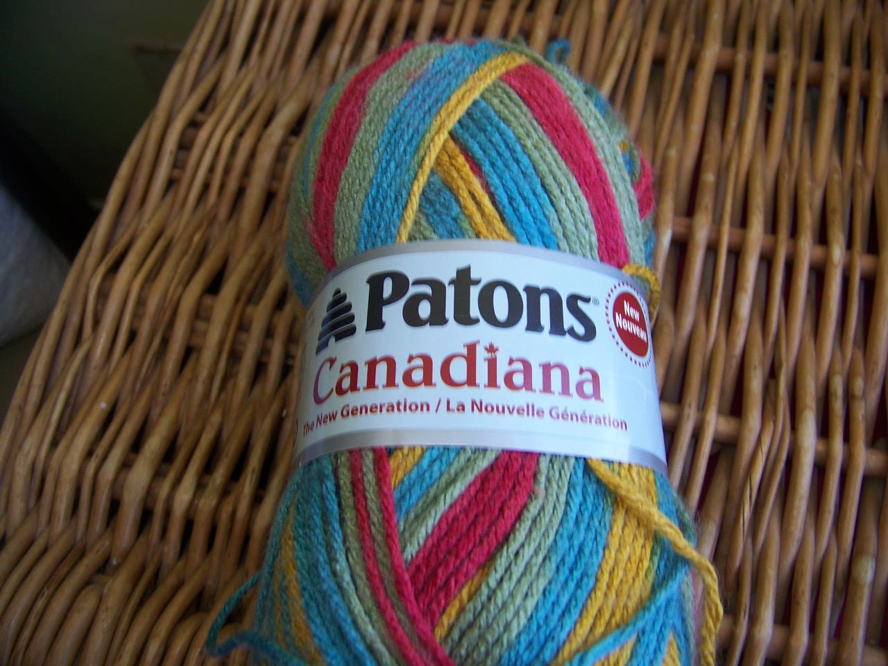 Patons Canadiana Morocco colored, 1 skein, yarn