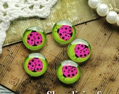 SALE - 10% OFF - 10pcs 12mm Handmade Photo Glass Cabs Cabochons (Ladybug)  -- BCH198E