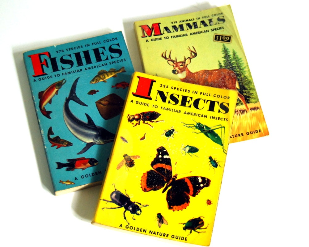 3 Golden Nature Guide Vintage Books Insects, Mammals, Fishes 1950s Biology Science Reference