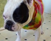 Tye Tie Dye Cotton Tank T Shirt French Bulldog Pug Boston Terrier Multicolored-Carla Smale
