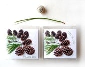 Thank You Cards Small Blank Pine Cones Green Branches