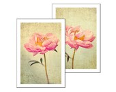 Two Peony Photographs, Japan Inspired Wall Decor, Coral Apricot Flower Still Life