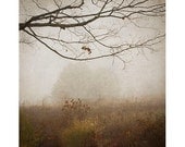 Misty Country Scene Landscape Photograph, Shabby Chic Wall Decor,  Earth Tones, Brown Monochromatic Photograph