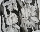 IRISES Hand Painted SILK SCARF Black and white