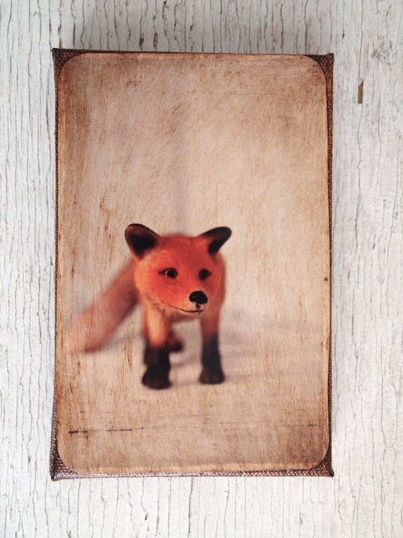 Toy Fox Art/Photo - Wall Art 4x6