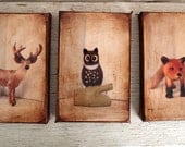 Wall Art  - Toy  Animals  Set of 3 - Art/Photo - 4x6