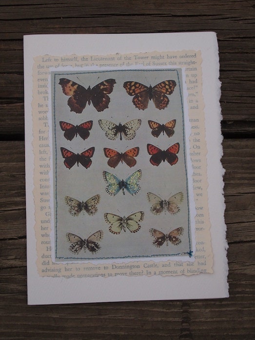 Butterflies Specimens -Notecards 5x7