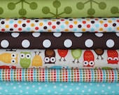 Owls Urban Zoologie and Remix fabric bundle by Ann Kelle for Robert Kaufman-  Fat Quarter Bundle, 6 total