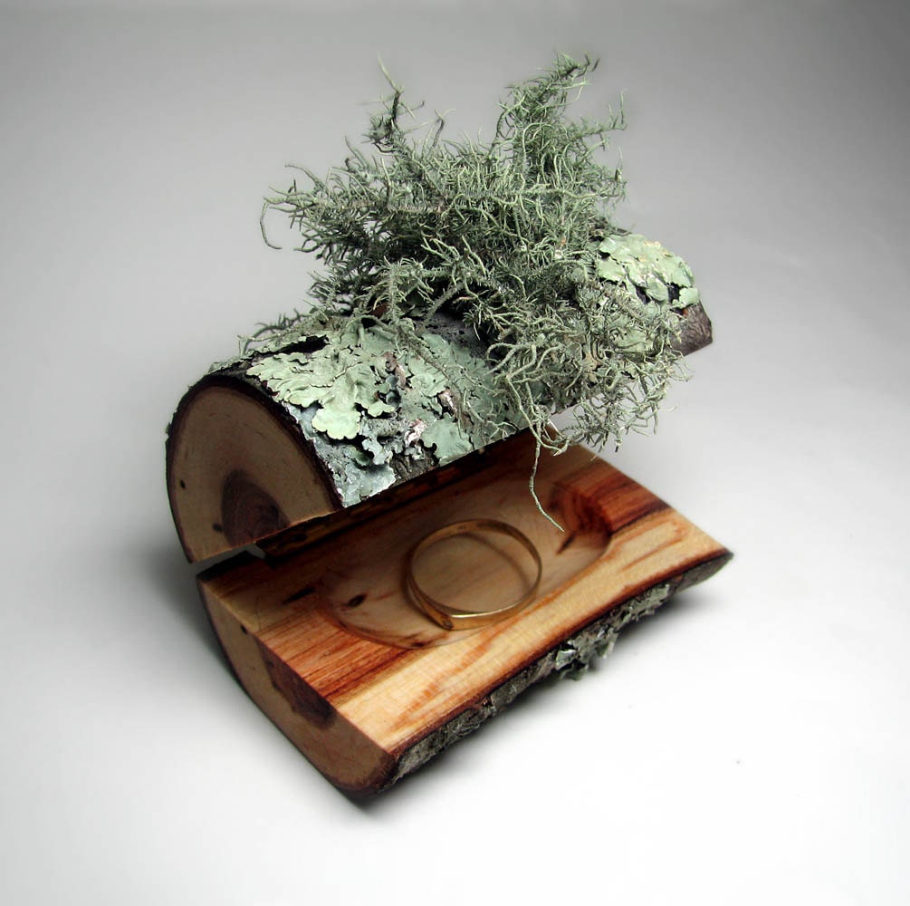 Petite American Cherry w Lichen Bark Natural Log Rustic Ring or Trinket Box by Tanja Sova