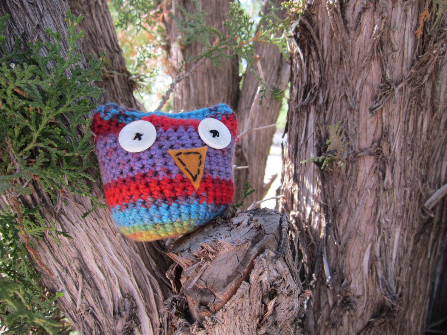 Small Rainbow Owl