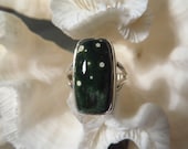 Ocean Jasper Ring Size 9