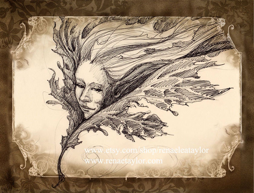 leaf.......postcard by renae taylor